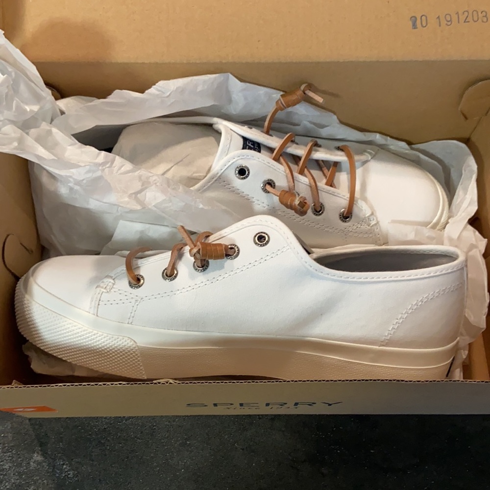 Sperry never worn sneakers